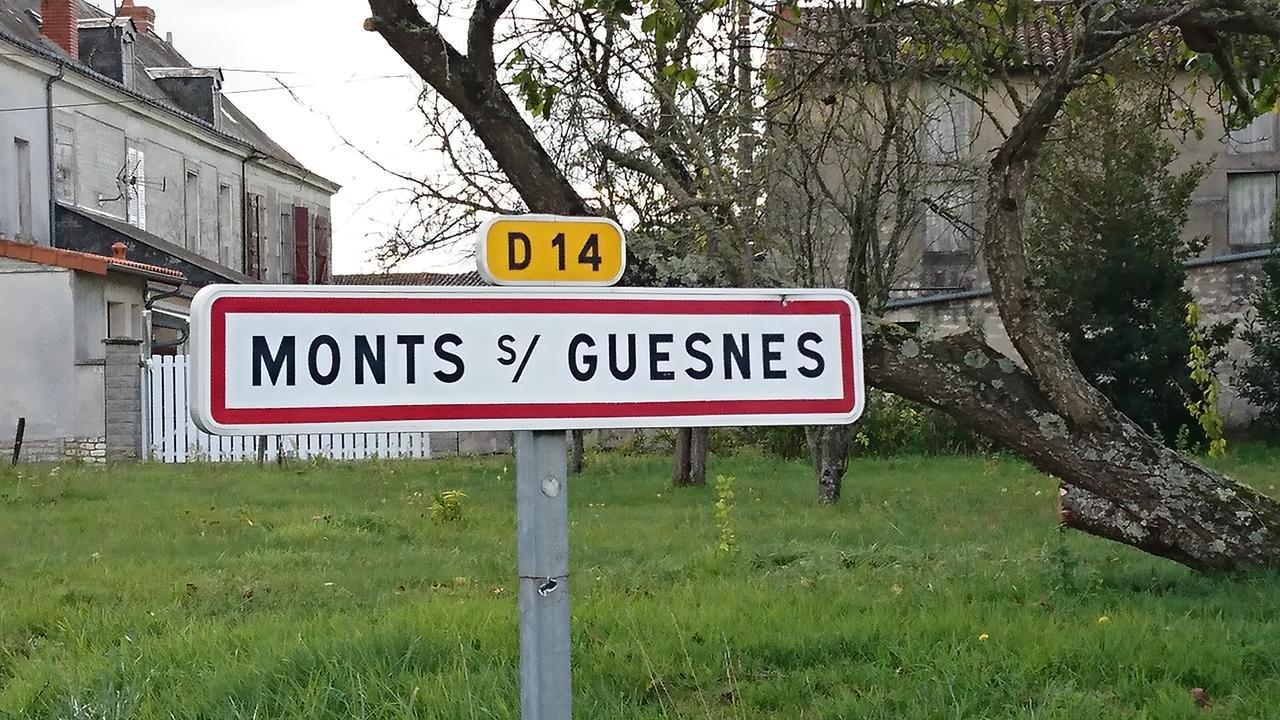 فيلا L'Olivier Monts-sur-Guesnes المظهر الخارجي الصورة